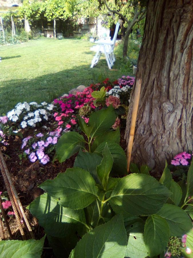 B & B Abbadia Monesiglio Екстериор снимка